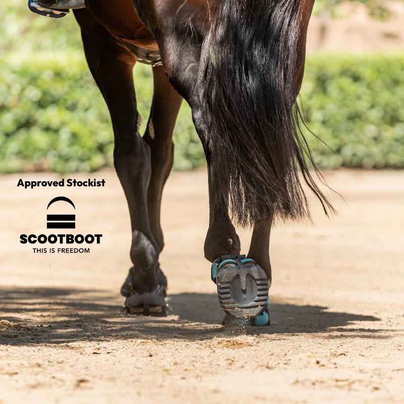 Scoot Boot am Pferdehuf