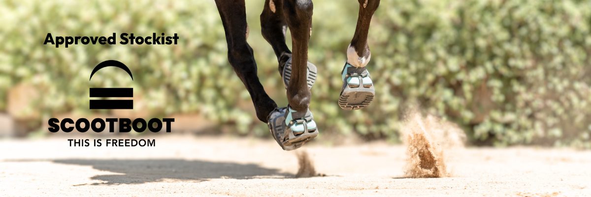 Scoot Boot – This is Freedom